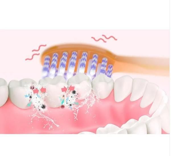 Electric Toothbrush – Teeth & Gums Care