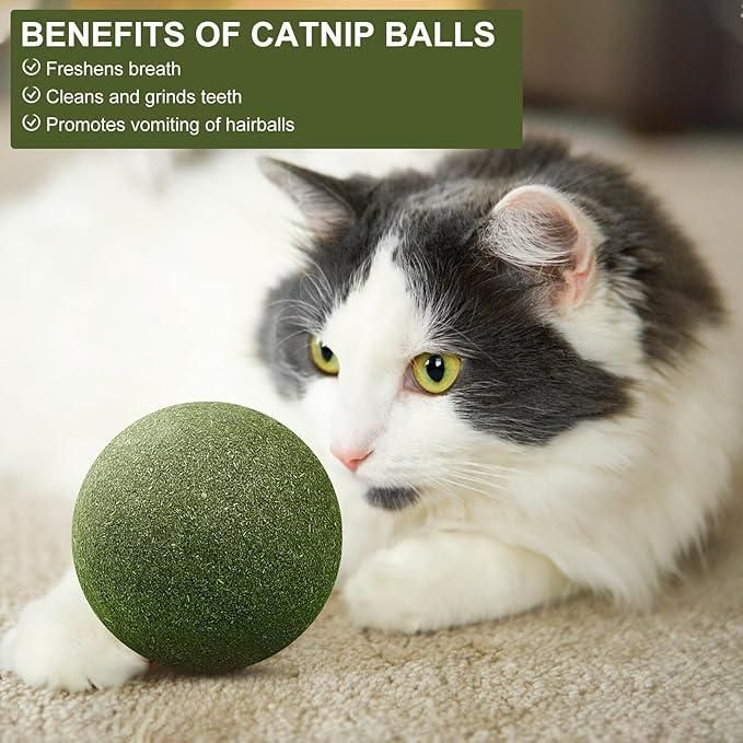 Cat Mint Toy Ball – Fun & Oral Health Care Toy
