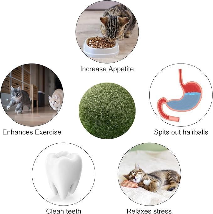 Cat Mint Toy Ball – Fun & Oral Health Care Toy
