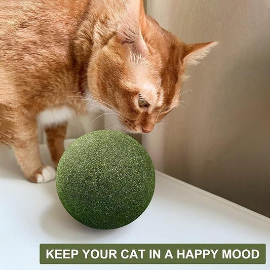 Cat Mint Toy Ball – Fun & Oral Health Care Toy