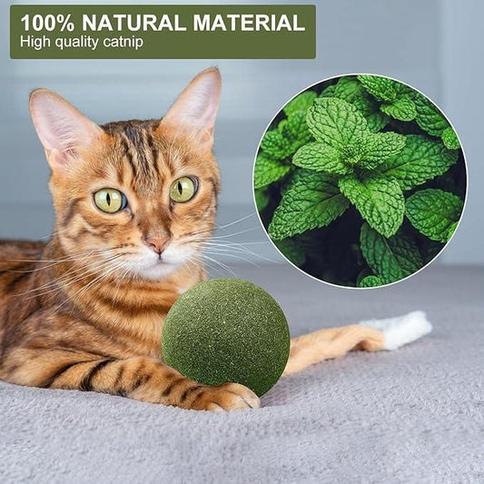 Cat Mint Toy Ball – Fun & Oral Health Care Toy